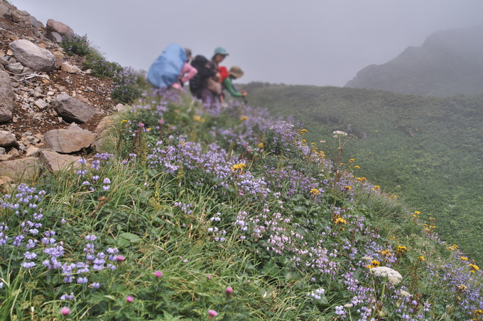 c0008948_2214317.jpg
