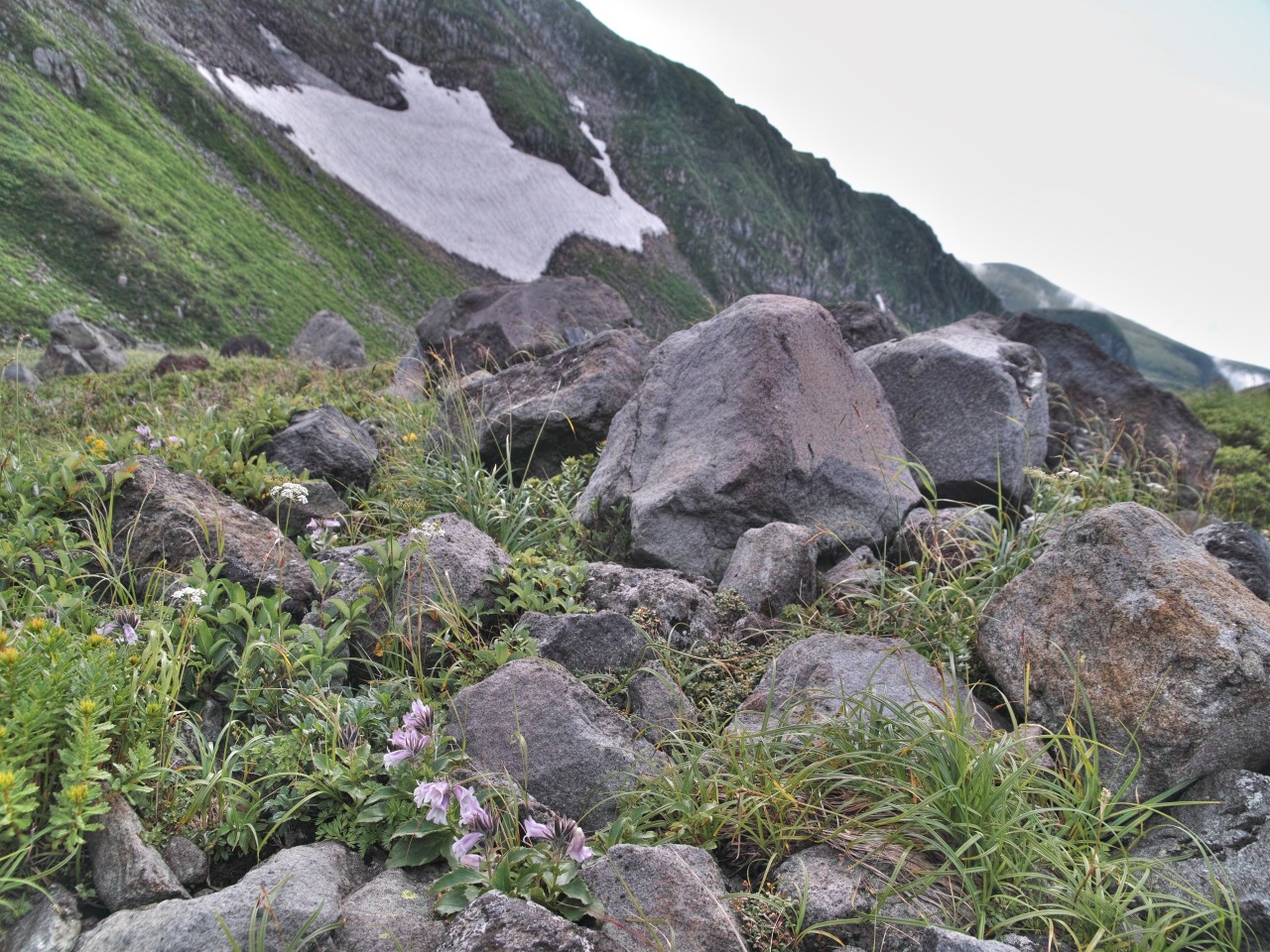 c0008948_22353240.jpg