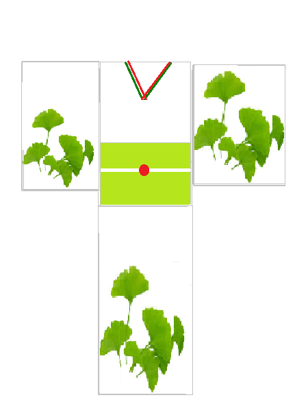 f0073848_0214091.png