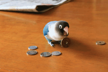 c0145250_09425535.gif