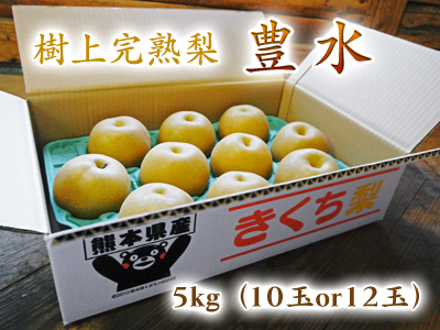 熊本梨 熊本のブランド梨『秋麗(しゅうれい)』先行予約受付スタート!!_a0254656_1875056.jpg
