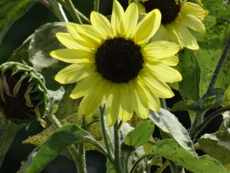 c0108460_17024512.jpg