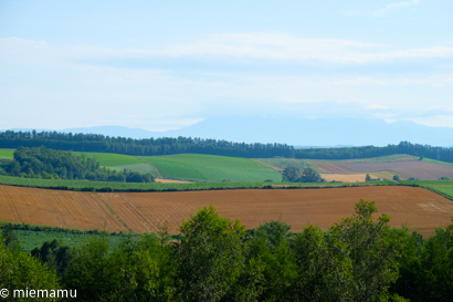 d0340565_20120339.jpg