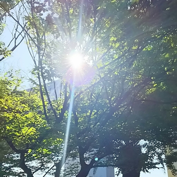 f0152875_08301376.jpg