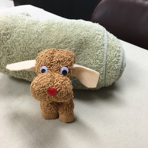 ミニ!アロマクラブ開催しています_a0191183_1158218.jpg