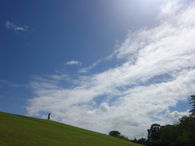 d0021491_16493073.jpg