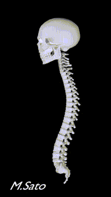f0074992_15535483.gif