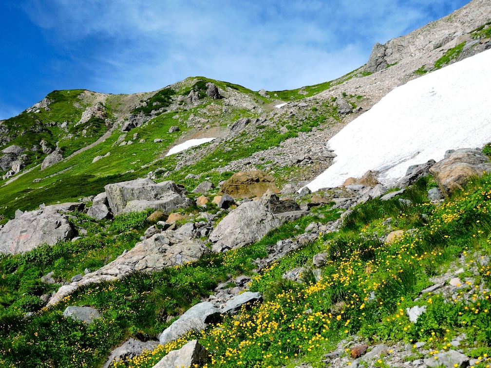 c0078410_8143174.jpg