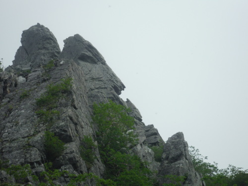 e0049213_12030906.jpg