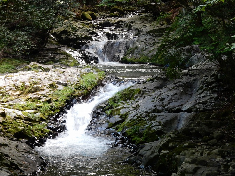 f0182513_1674130.jpg