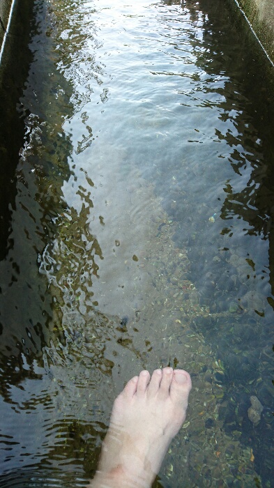 c0140516_15345192.jpg