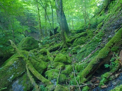 f0193521_20243722.jpg