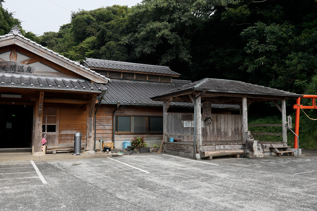 \"美\"屋久島を求めて「美人を求めて」「美と美と美と美と美」「美人美人」_f0033831_535069.jpg