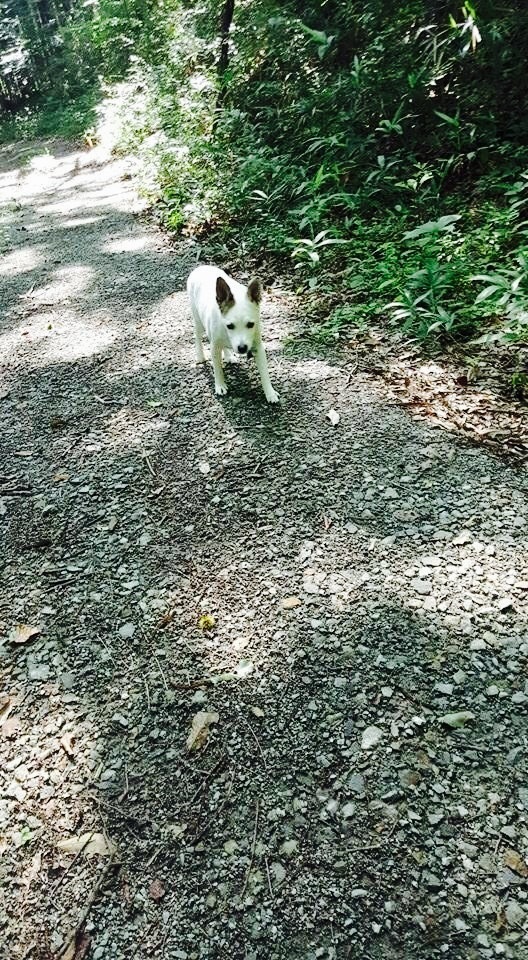 d0269832_09511401.jpeg