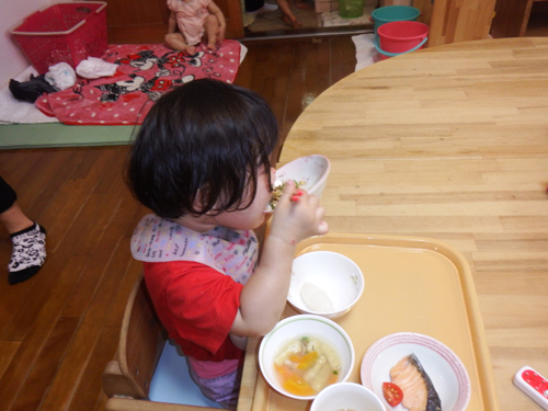 8月の園の様子(あお、コスモス)_d0151133_14575290.jpg