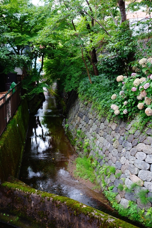 a0287336_2215017.jpg