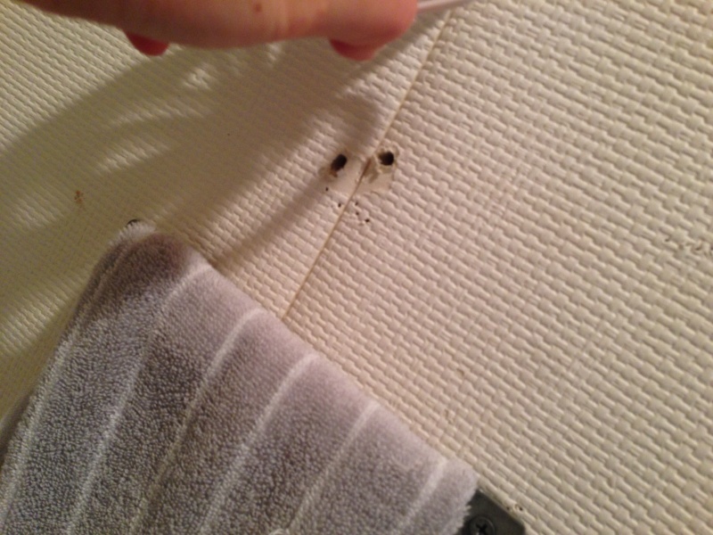 トイレットペーパーホルダーが大変だったことと、ふりかけの収納。_f0370138_11381183.jpg
