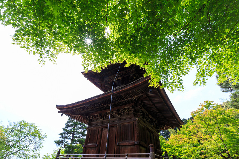 本堂落慶・新緑の常寂光寺_f0155048_1693377.jpg