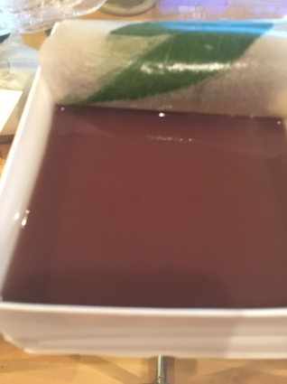 貴重な水羊羹_a0163160_00005499.jpg