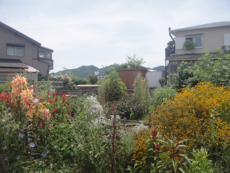 c0108460_15563738.jpg
