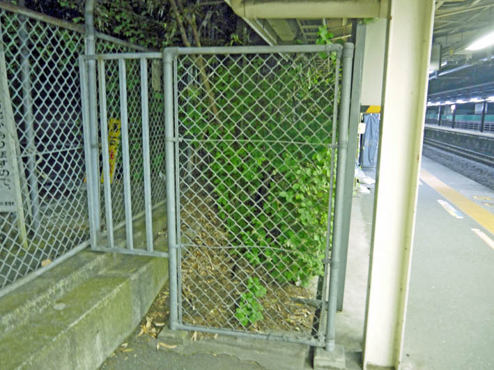 北鎌倉「緑の洞門」原形の保存、地質学の権威も裏づけ8・20_c0014967_1425724.jpg