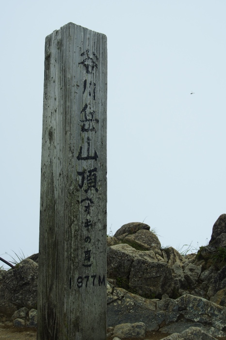 e0307372_10363430.jpg