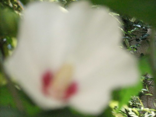 f0253572_20421529.jpg