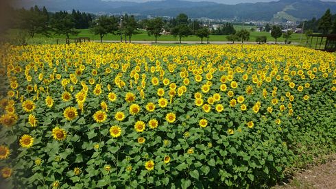 綺麗でしたよ_e0142373_1736238.jpg