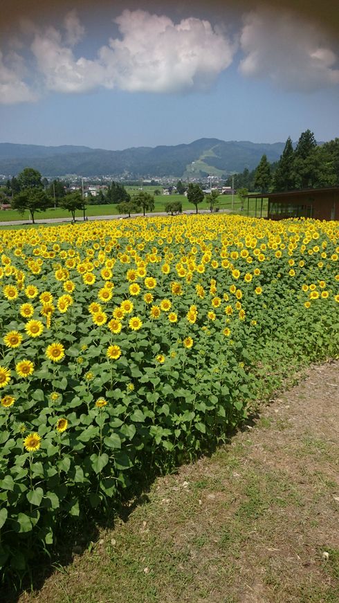 綺麗でしたよ_e0142373_17382053.jpg