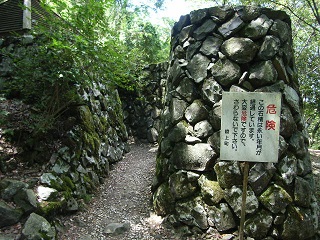 a0064474_782033.jpg