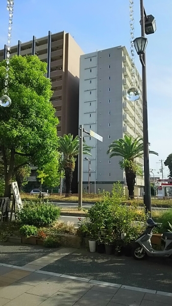 山の日♪_f0152875_08095125.jpg