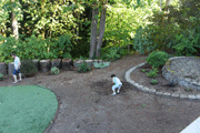 f0184775_20542218.gif