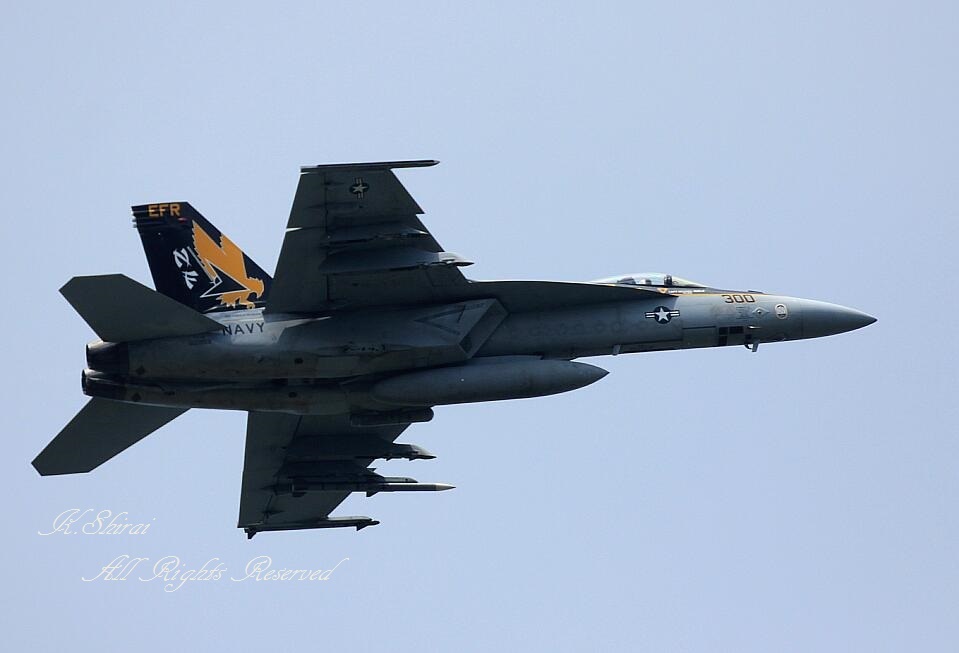 CVW-5 ばっかの NAF Atsugi   　　　 ～第5空母航空団～_c0073377_08105155.jpg