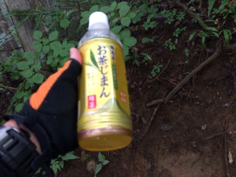 c0206177_20361321.jpeg
