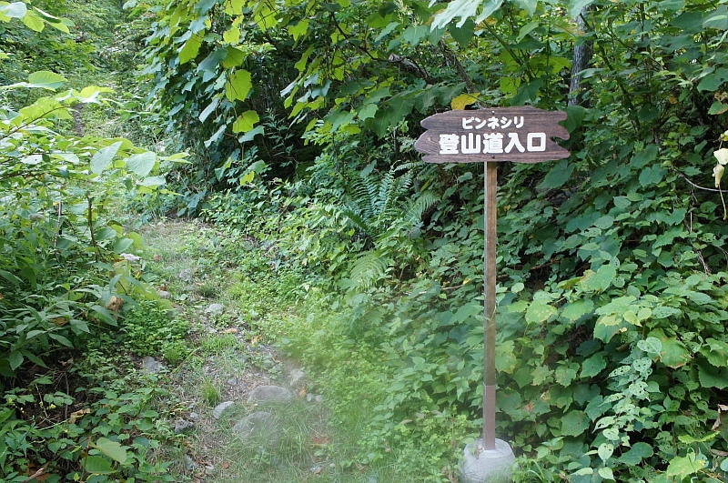 e0335379_21162792.jpg