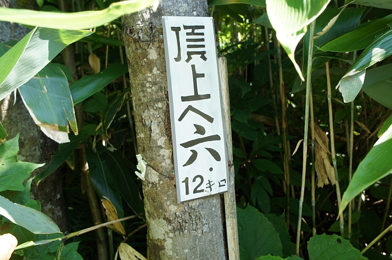 e0335379_21171285.jpg