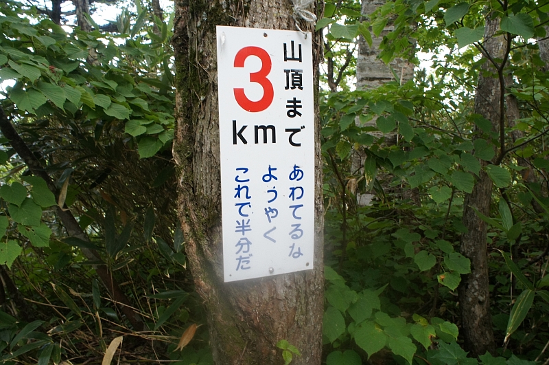 古里の山を登ろう！✮ピンネシリ1100ｍ✮2016.8.11_e0335379_22263633.jpg