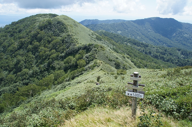 e0335379_22283215.jpg