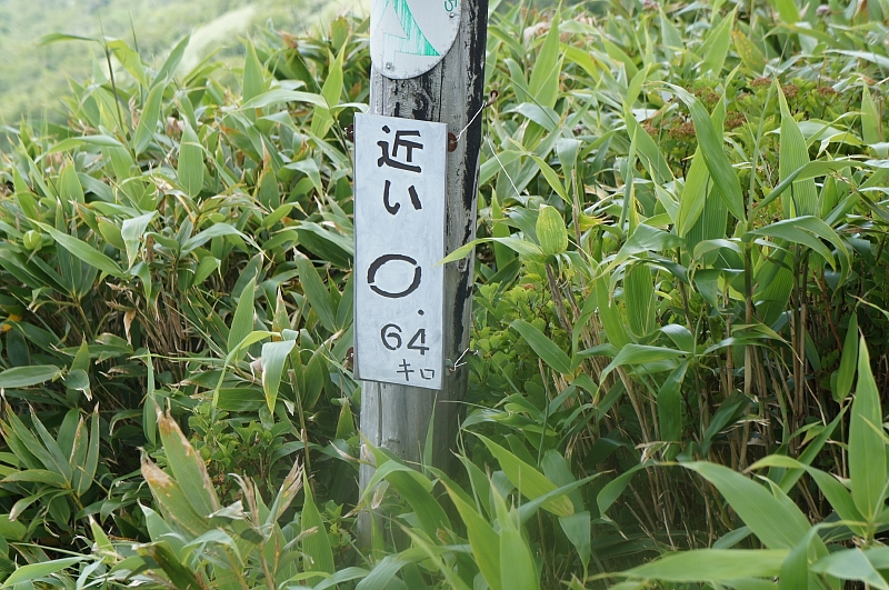 古里の山を登ろう！✮ピンネシリ1100ｍ✮2016.8.11_e0335379_22303927.jpg