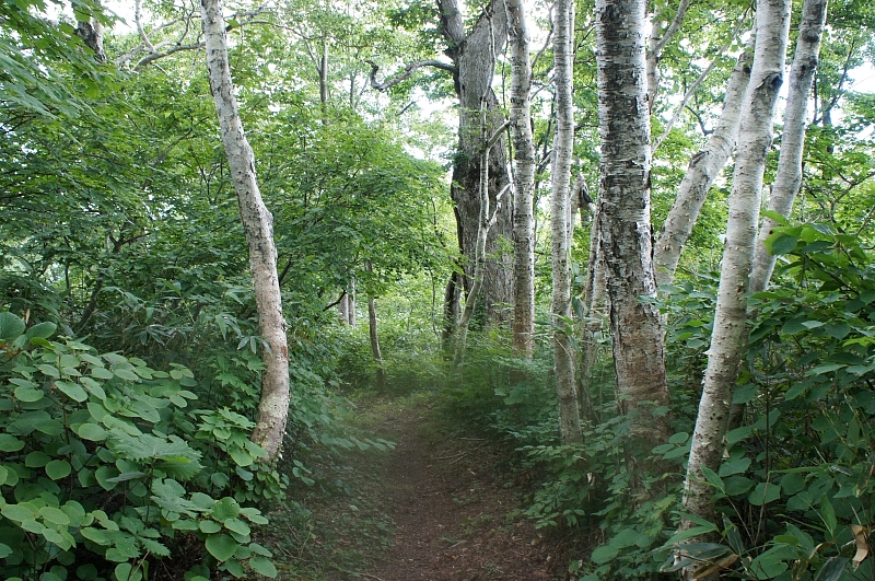e0335379_22305932.jpg