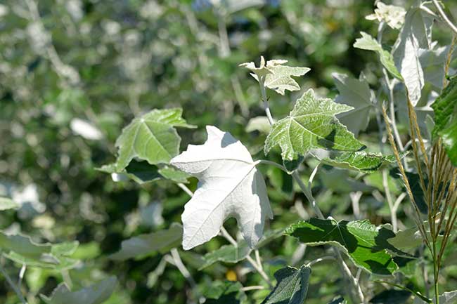 f0212586_1951315.jpg