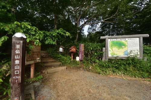 祝！山の日登山は至仏山①オヤマ沢田代まで_e0241691_22193156.jpg