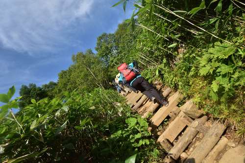 祝！山の日登山は至仏山①オヤマ沢田代まで_e0241691_22432184.jpg