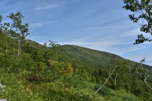 祝！山の日登山は至仏山①オヤマ沢田代まで_e0241691_2245134.jpg