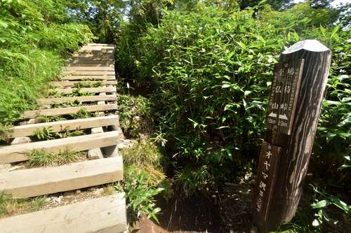 祝！山の日登山は至仏山①オヤマ沢田代まで_e0241691_22481075.jpg