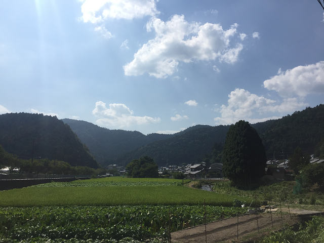 b0362900_21175397.jpg