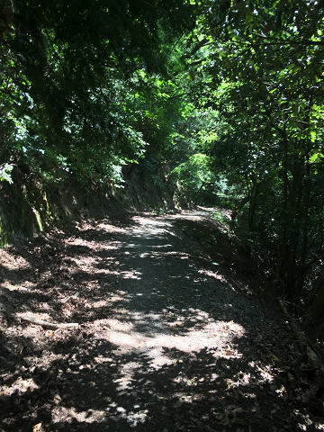 b0362900_2161556.jpg