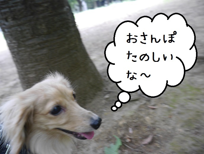 a0332203_17023959.jpg