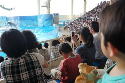 新江ノ島水族館on山の日_f0006713_23071935.jpg