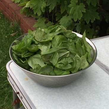 f0369014_14372020.jpg